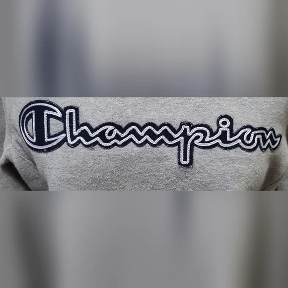 champion sweatshirt 2010s pullover ₊✩‧₊˚౨ৎ˚₊✩‧₊ - Picture 2 of 6